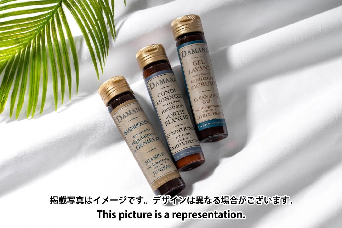 Jasper Waseda Daire Tokyo Japonya